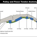 손철호재활의학과의원 이미지