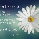 (주)여행이필요해 이미지