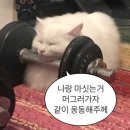 크크키친 이미지