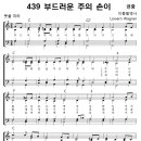 성가 - 가톨릭성가439 / 부드러운 주의 손이 이미지