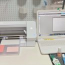 플라워가 주는 작은휴식 힐링플라워 | 대구 플라워토퍼 리틀빅데이 – 홈공방을 운영하면서 좋았던 점