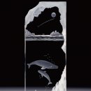 드림스토리(Dream Story)