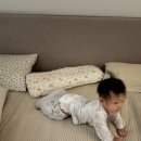 인형뽑기노리 이미지