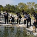 생태연못 이미지