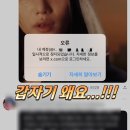 새명성약국 | 월간 9월| 연기 천재 강아지 덕분에 응급실서 60만 원 날린 썰, 남편 생일 케이크로 성심당 무화과...