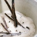 바닐라슈가 이미지