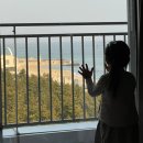 초당약국 이미지