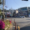 장림1동 행정복지센터 앞 이미지