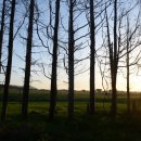 무수목장 이미지