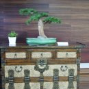 바람휴게소