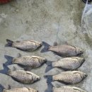 행복 낚시터 이미지