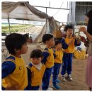 화령초교병설유치원 이미지