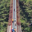 강천산 나비잠 이미지