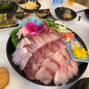 황금오징어 활어회센터2 이미지