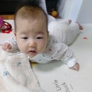 별애별PC 네이버블로그