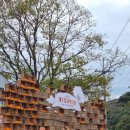 2023 제주국제관악제 | 2023 제주 국제 감귤 박람회 후기 + 2024 정보