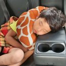 오광세차장 이미지