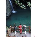 (마감)9월21일(월) 철원 고석정꽃밭&amp;도피안사 이미지