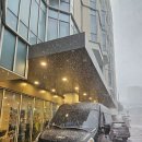 위미온 | 서귀포 위미 횟집 다금바리 오마카세 어느멋진날 예약