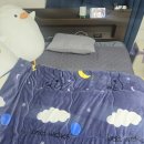 (주)대성안전개발 | 거실 전기매트 전자파 없이 안전한 대성쎌틱 탄소매트 후기