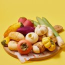 정남뜰 | 정남미명과 구황작물빵 10종 내돈내산 후기 | 대파빵 양파빵 단호박빵 고구마빵 감자빵 밤빵 옥수수빵...