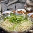 청해복어 이미지