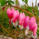 유카세탁 이미지