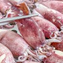 한치로1 이미지