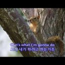 추억의 음악 이미지