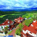유로빌 네이버블로그