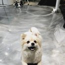 파충류샵알파