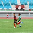 의정부신곡초등학교 이미지