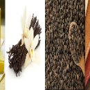 본드라이 이미지