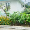 (주)인정푸드