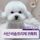 스퀘어독스 서산점 이미지