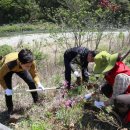 산촌마을 - 남해군 | 산촌마을