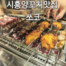 쏘코 | 시흥 능곡동 양꼬치집 쏘코 내돈내산 후기 하얼빈맥주