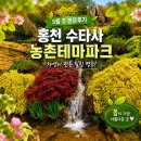 길따라꽃따라 | 홍천 수타사 농촌테마파크 5월 초 방문 후기: 활짝 핀 꽃길 따라 즐기는 가볼 만한 곳 봄나들이 명소