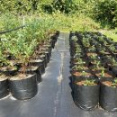 여정농장 이미지