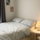 그린민박2 이미지