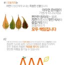 [5월 홍천탐방 1편] 모둘자리 힐링체험마을 방문후기