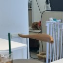 부흥로351번길 이미지