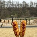 강원도 영월군 / 에이미캠핑장 (B-1) 후기 🤍🩶
