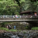 성주산 자연휴양림 대형주차장 이미지