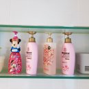 제주 개구리펜션 가족독채펜션 이미지