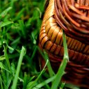 검정고시(고졸) 이미지