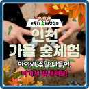 도토리숲교실 | 인천대공원 숲체험, 아이도 엄마도 행복한 1일권 에코힐링 할인 특가!