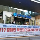 박씨청과