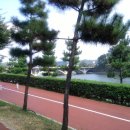 천수교주유소 이미지