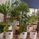 주정차단속-66 이미지